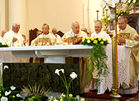 50 sacerdozio don Pino