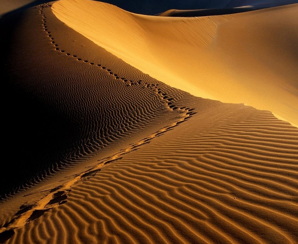 Deserto